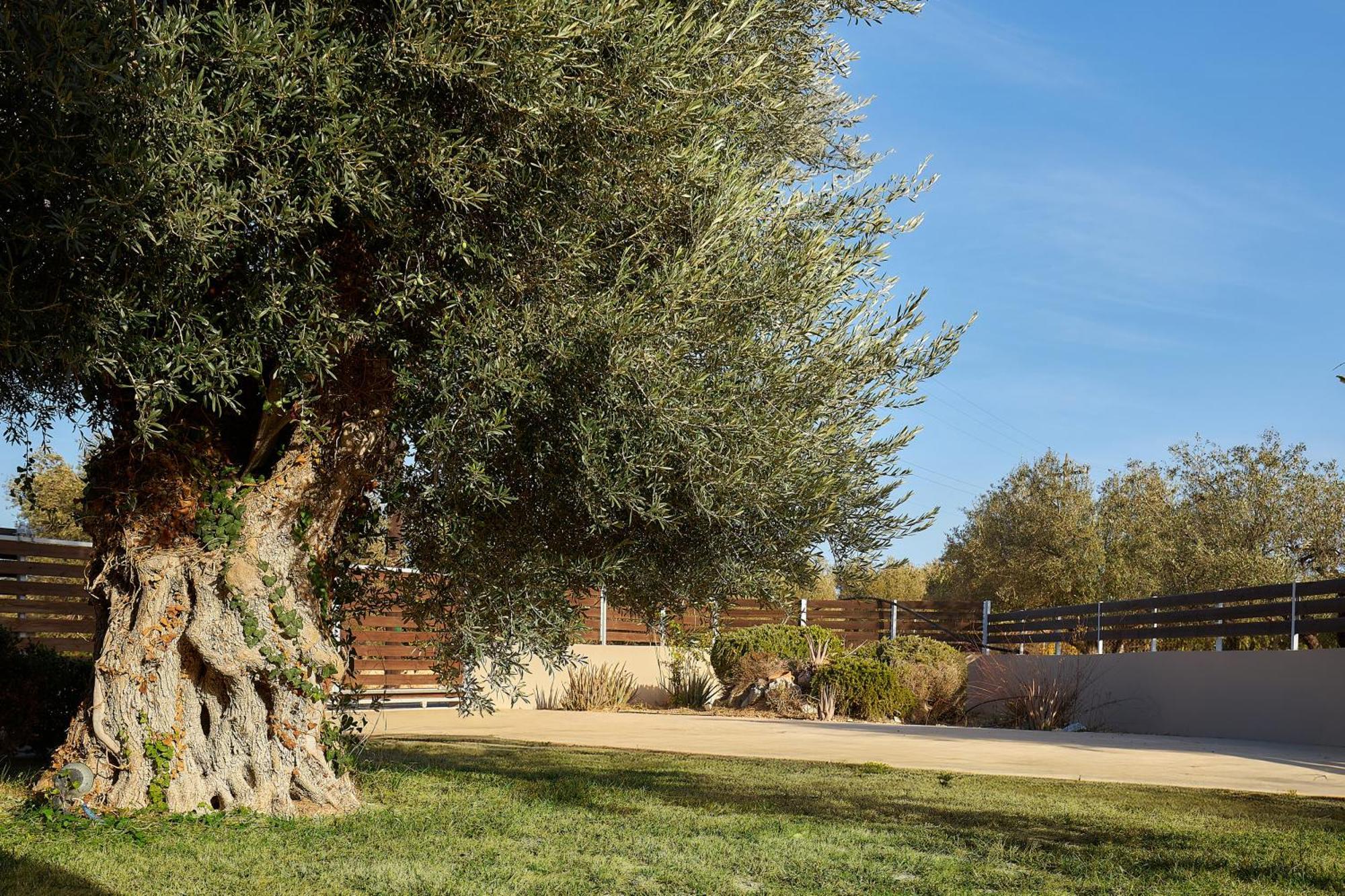 Villa Santa Barbara Hersonisos 赫索尼索斯 外观 照片
